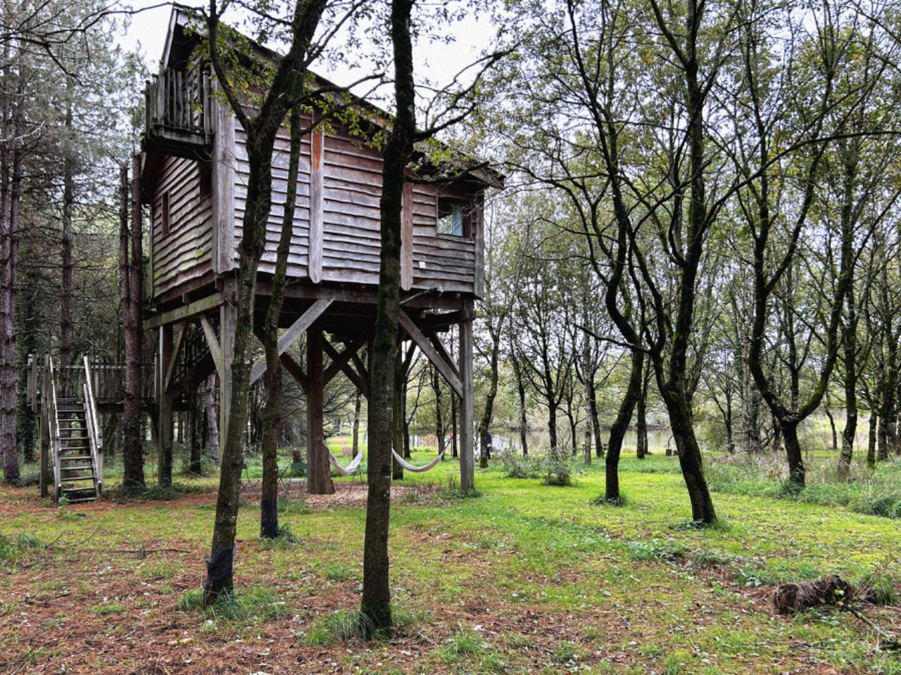 Hôte GreenGo: Cabane Le repaire du hibou - Image 16