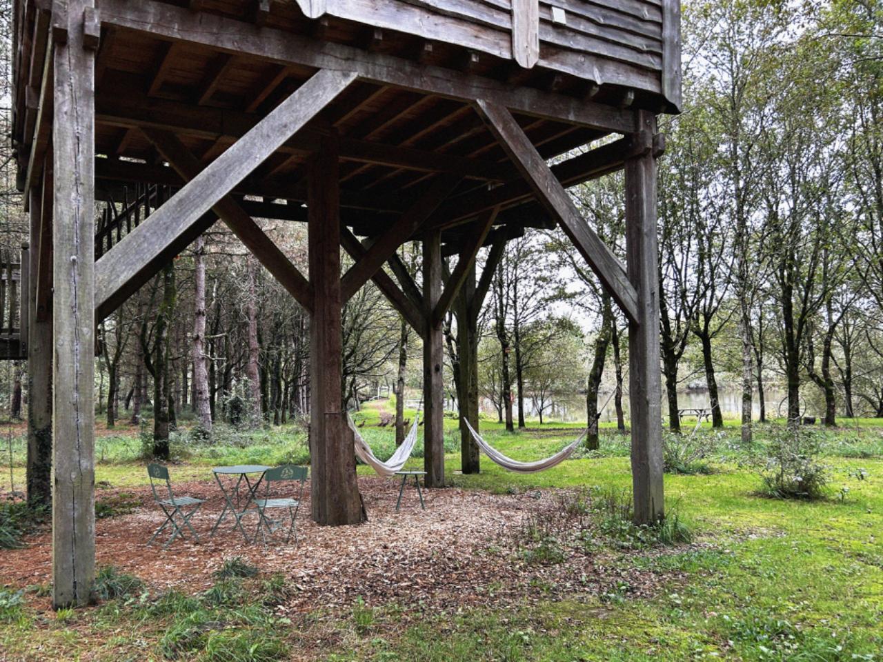 Hôte GreenGo: Cabane Le repaire du hibou - Image 15