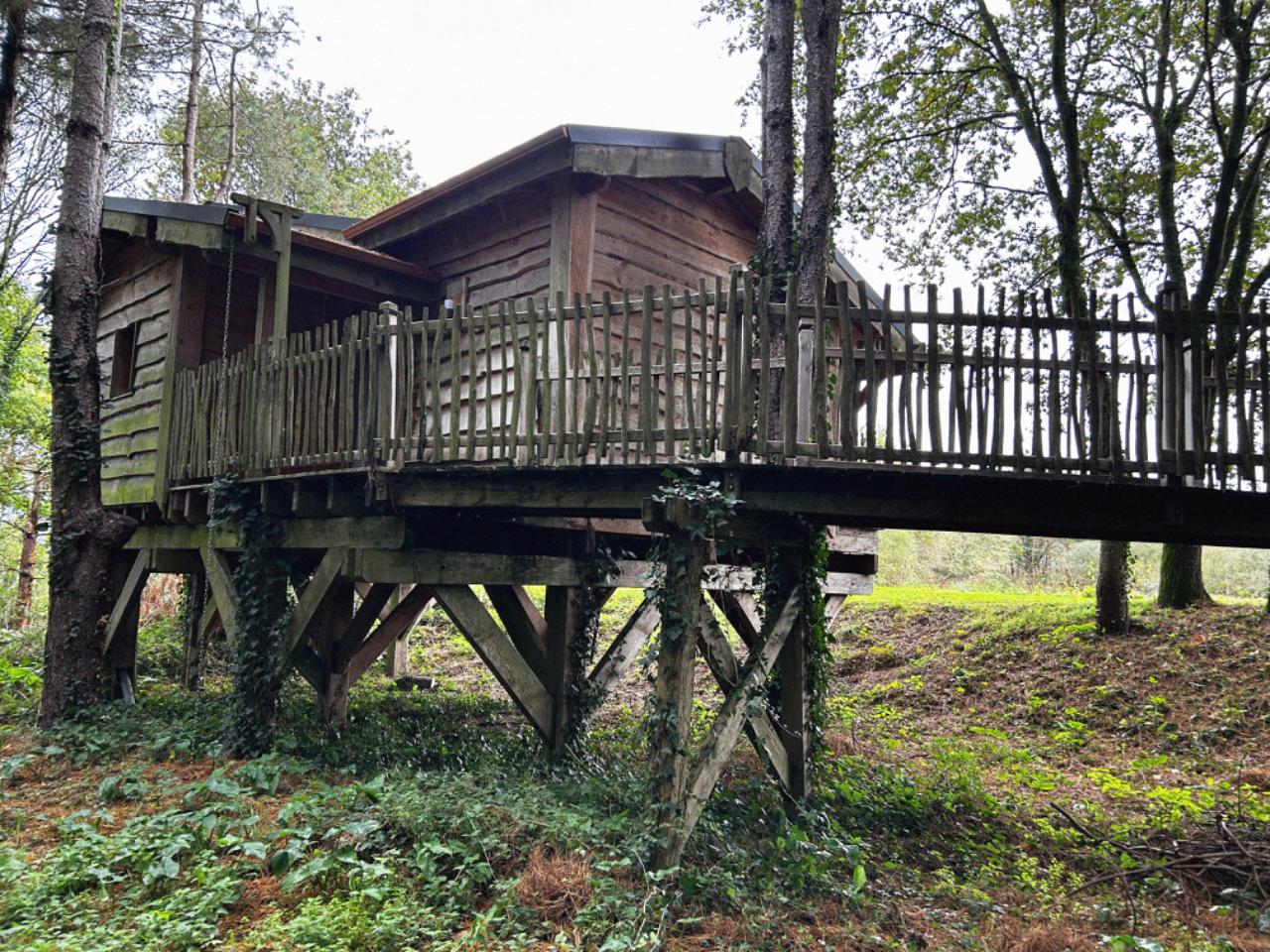 Hôte GreenGo: Cabane Le repaire du hibou - Image 18