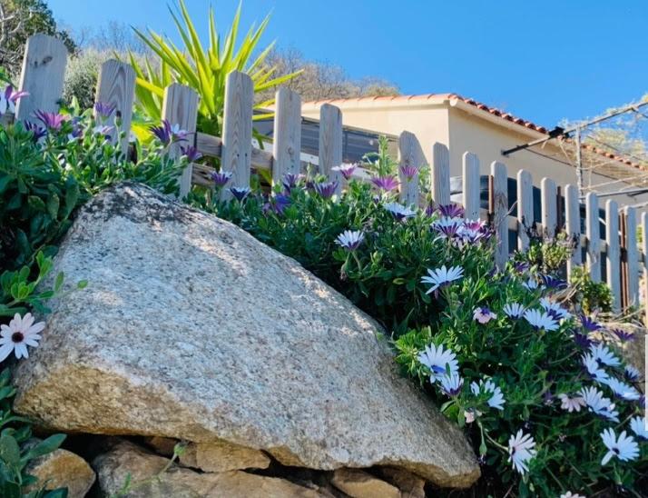  Haute-Corse À la campagne