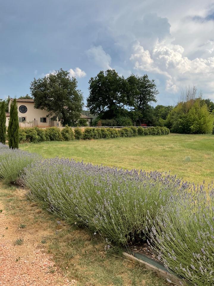 Le Mas des Lavandes