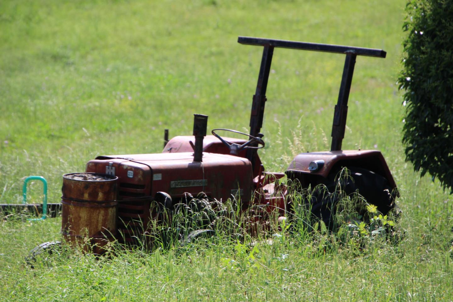 Carte cadeau GreenGo