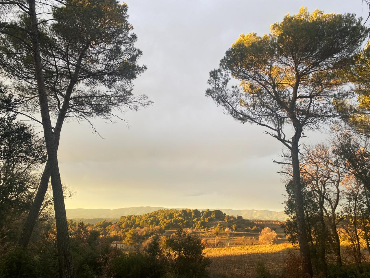 GreenGo Deboisenbois