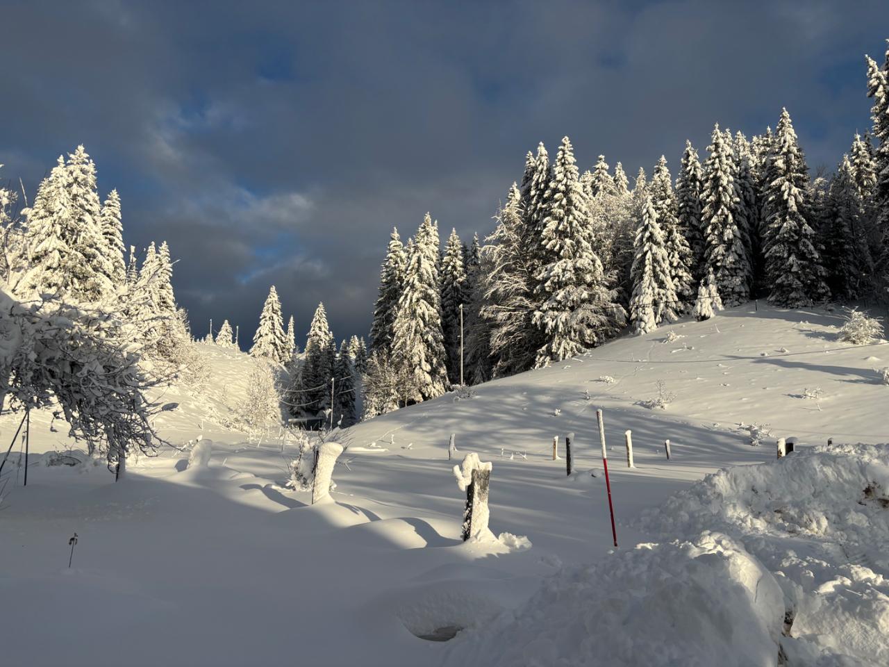 Chambre d’hôtes Jura Haut-de-gamme