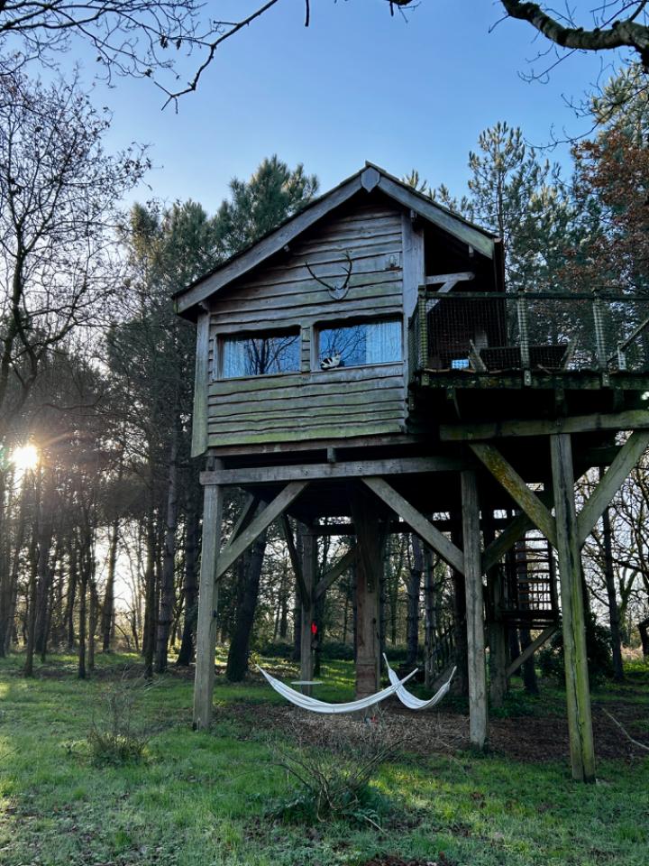 Hôte GreenGo: Cabane Le repaire du hibou