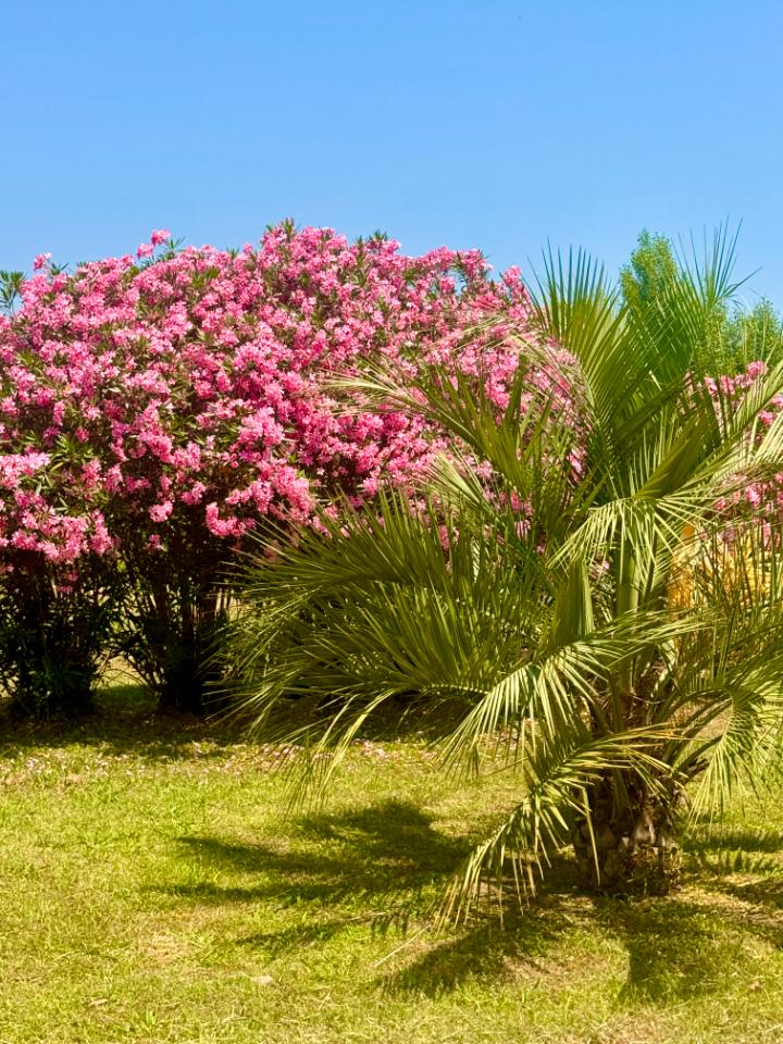 GreenGo location vacances écoresponsables