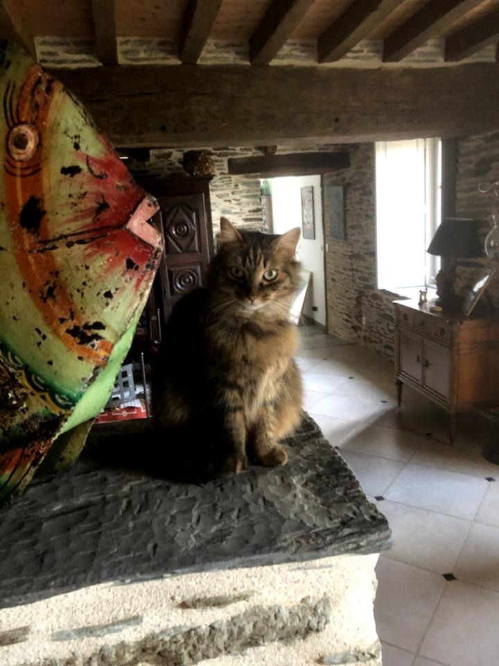 GreenGo La Petite Seigneurie de Lourmel