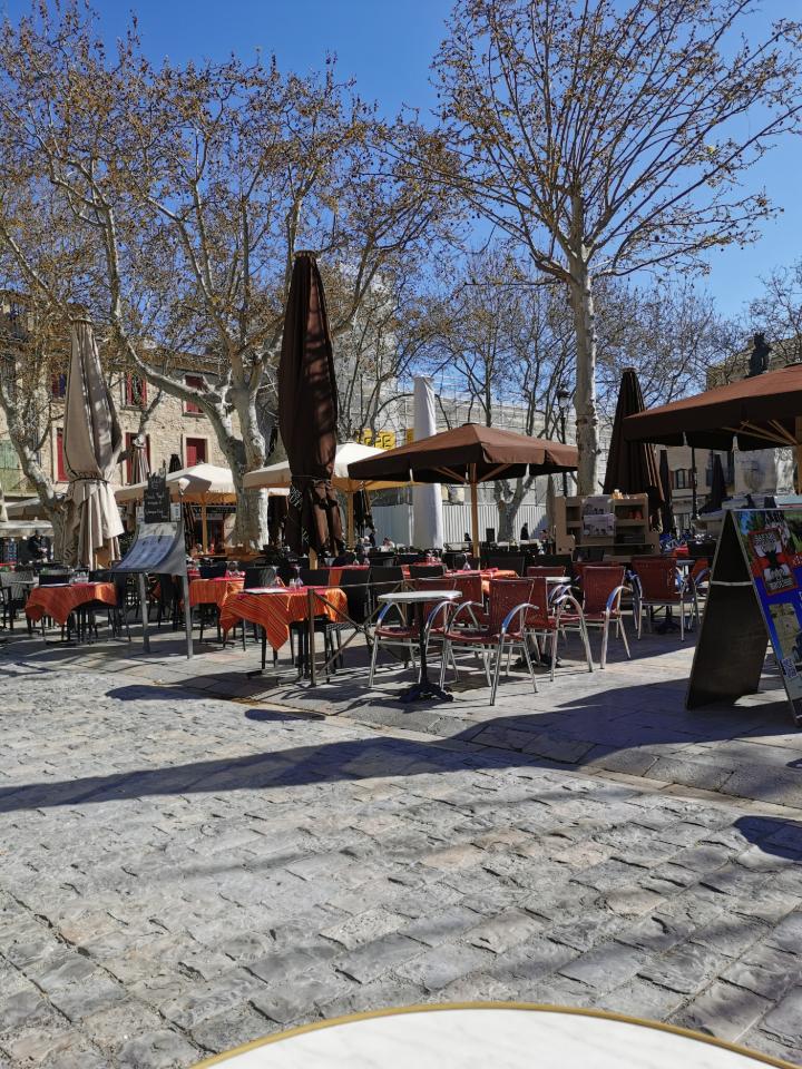 GreenGo Chambre d’hôtes Occitanie En ville