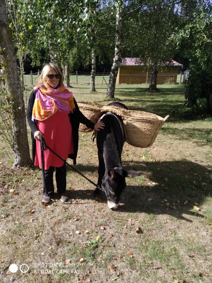 Logement insolite Eure Glamping