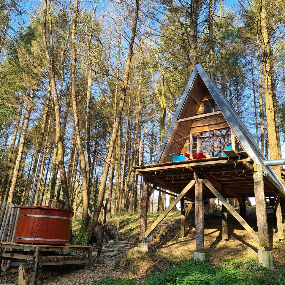 Hôte GreenGo: Cabane en forêt à Salies de Bearn