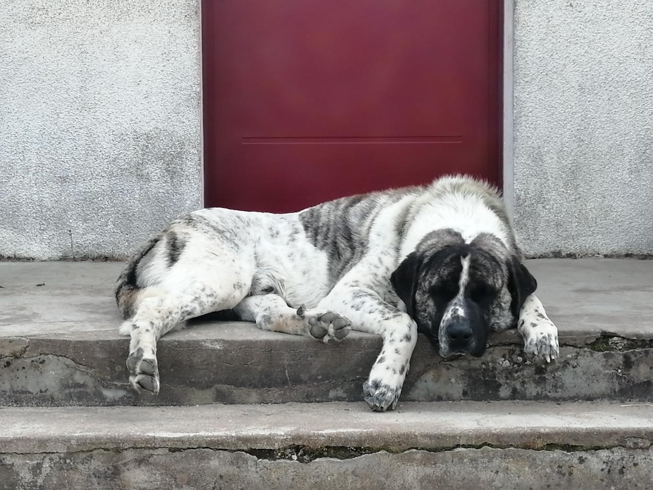 Hôte GreenGo: Gîte et Cab'Âne de Medeina - Image 19