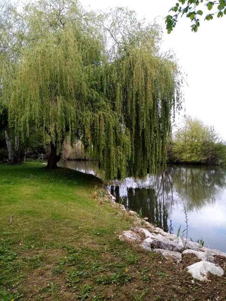 Hôte GreenGo: LES TONNEAUX DE L'EURE - Image 13