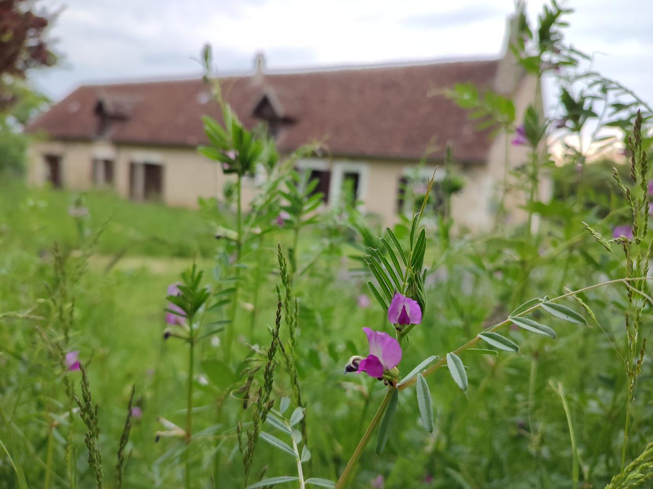Hôte GreenGo: Au Petit Bois de la Gravette