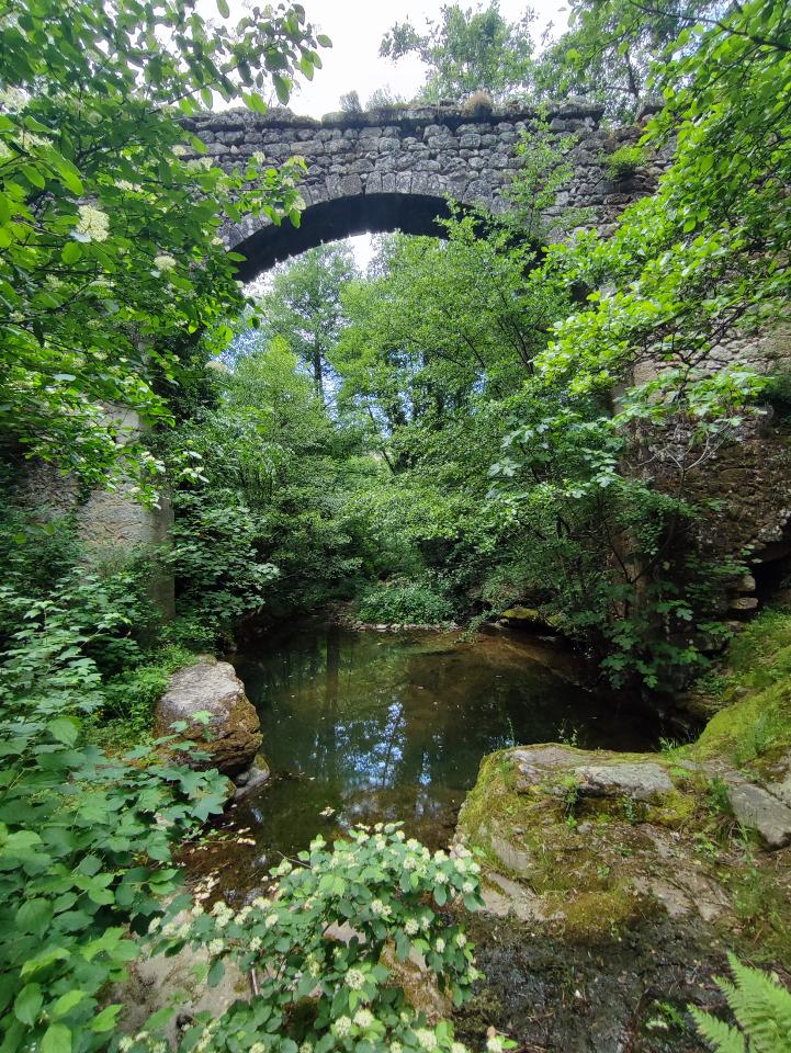 Hôte GreenGo: L'atelier des Huppes, ancienne magnanerie du XIX siècle, son parc d´un hectare et sa rivière privée - Image 27