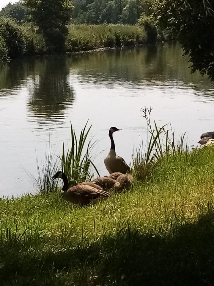 Hôte GreenGo: LES TONNEAUX DE L'EURE - Image 30