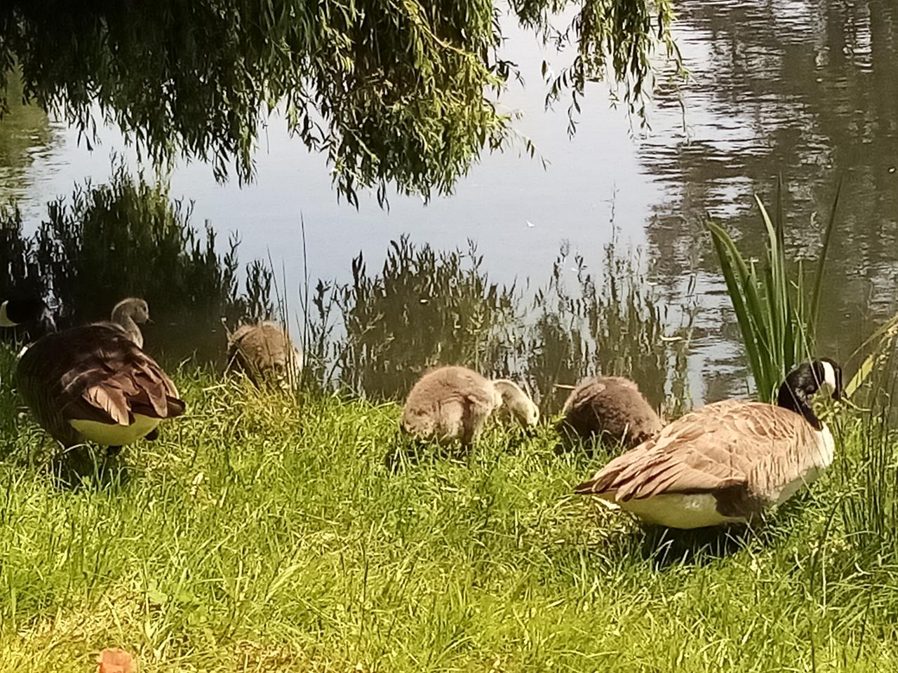 Hôte GreenGo: LES TONNEAUX DE L'EURE - Image 25