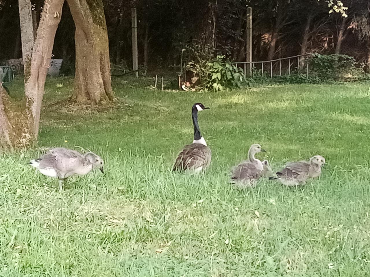 Hôte GreenGo: LES TONNEAUX DE L'EURE - Image 18