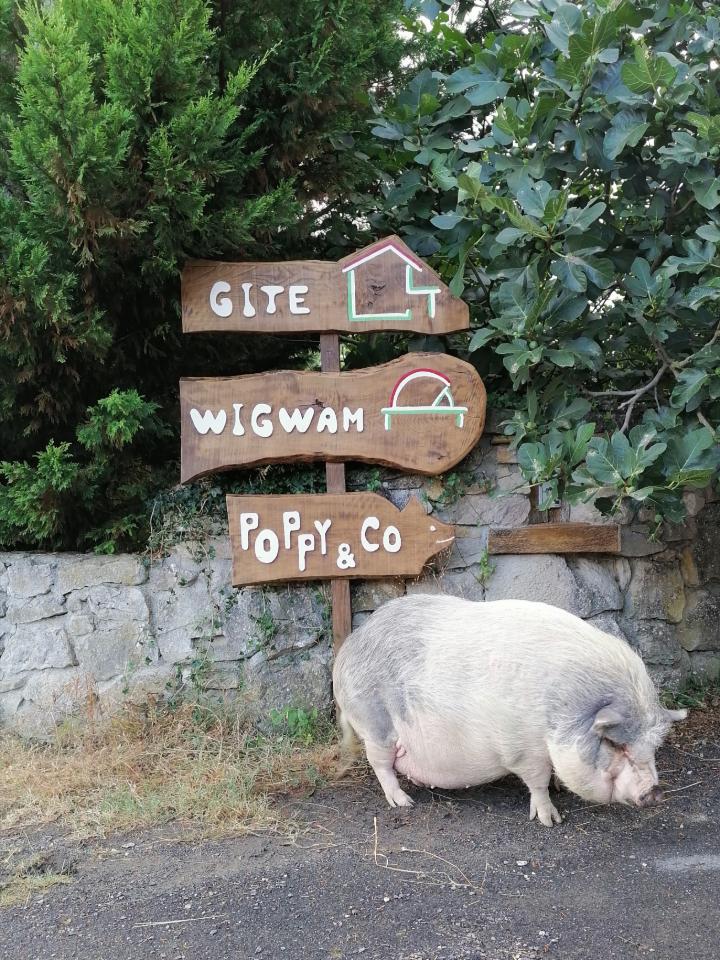 GreenGo Hébergements du Fassac