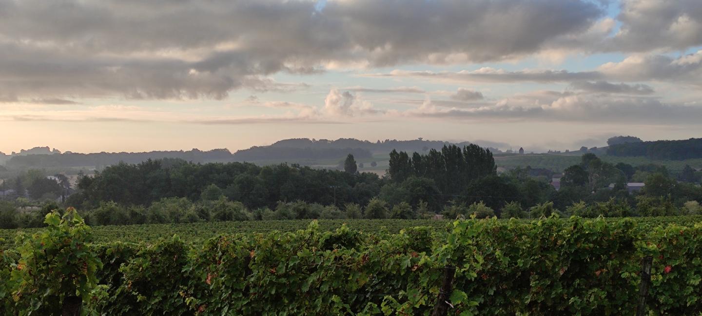 Carte cadeau GreenGo