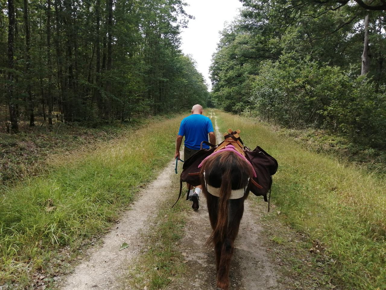 Hôte GreenGo: Gîte et Cab'Âne de Medeina - Image 8