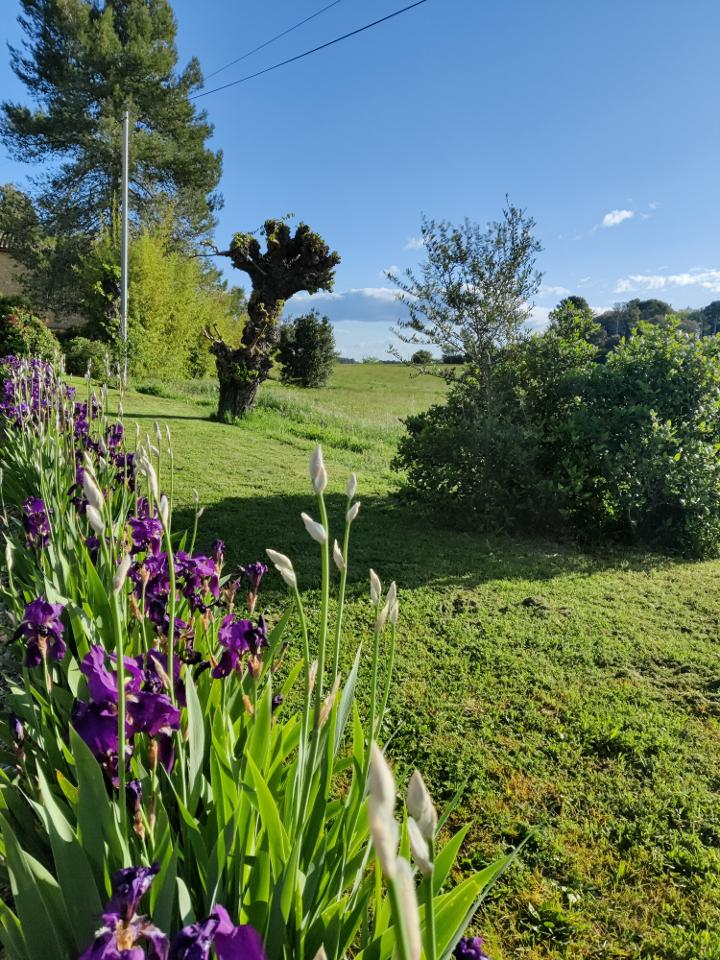 Hôte GreenGo: Près d'Anduze: le Mas des Roses - Image 13