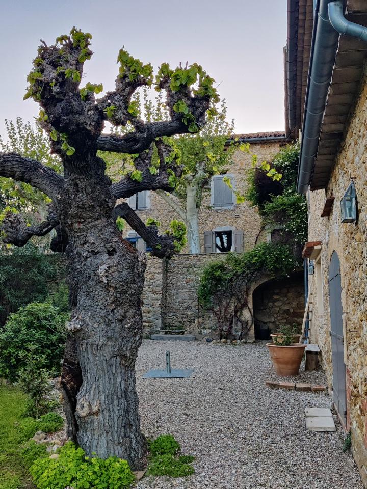 Hôte GreenGo: Près d'Anduze: le Mas des Roses - Image 9