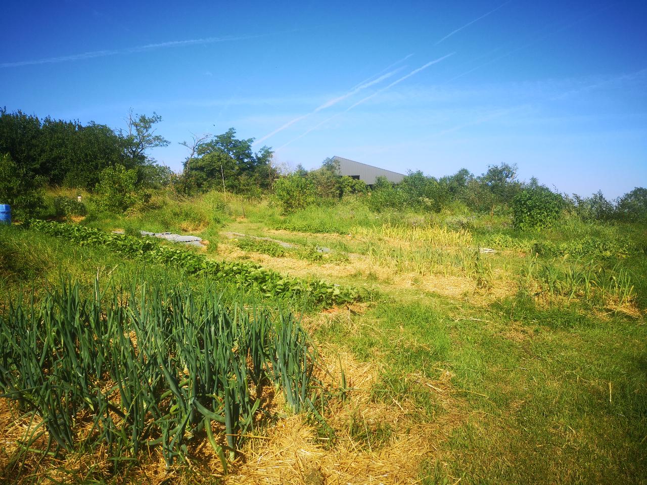 Hôte GreenGo: Logements Nature et soins pour se ressourcer - Image 22