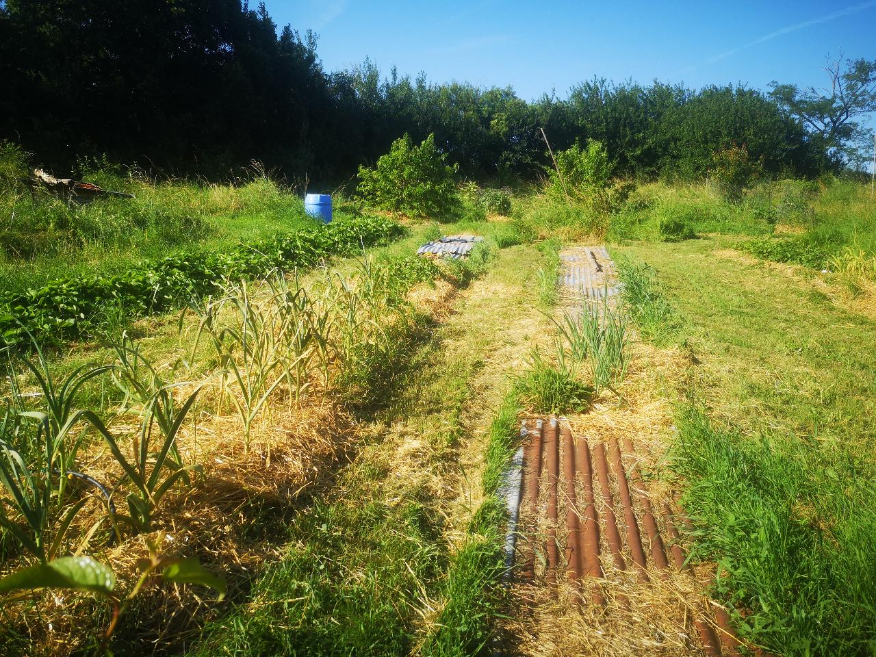 Hôte GreenGo: Logements Nature et soins pour se ressourcer - Image 21