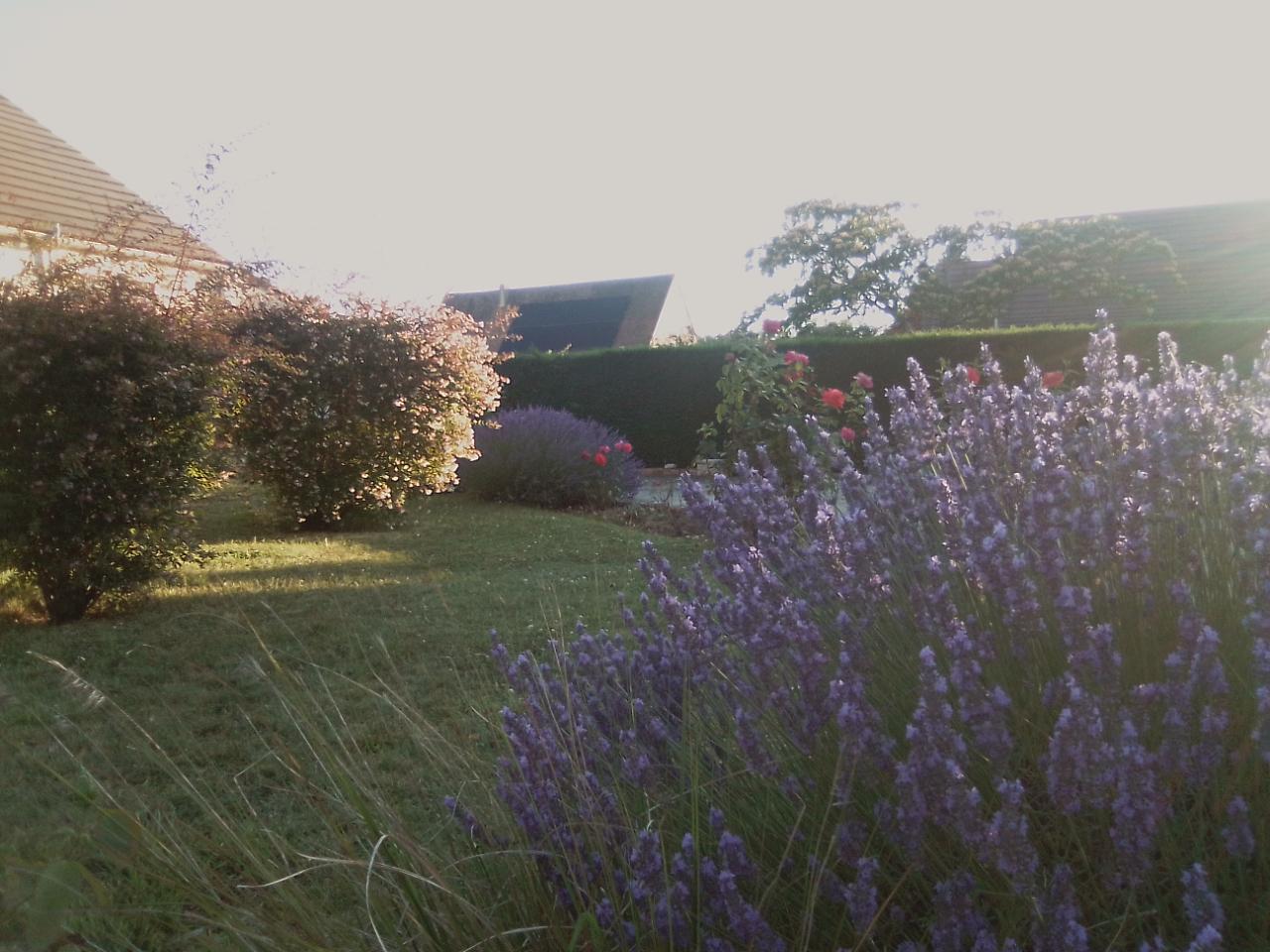 GreenGo location vacances écoresponsables