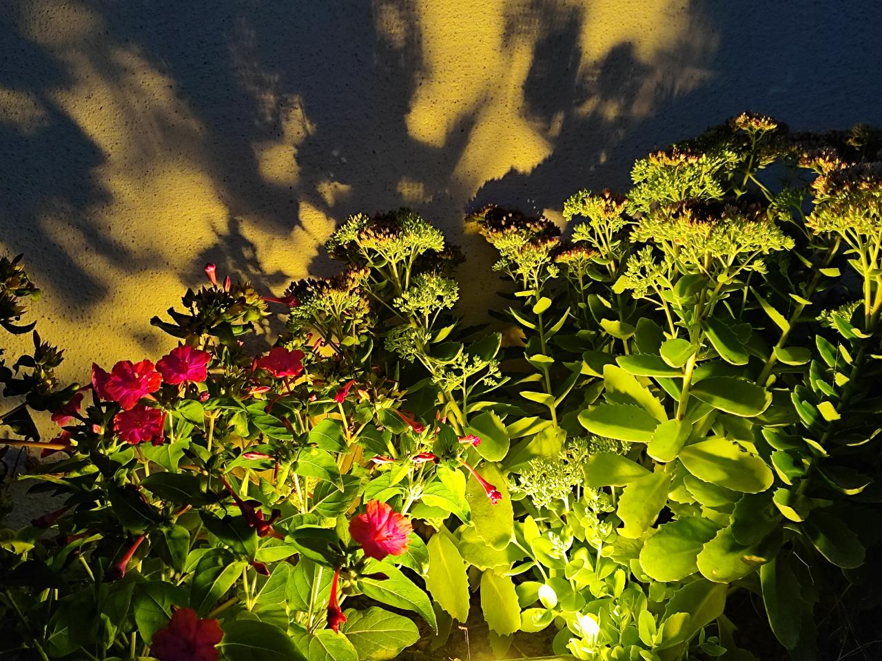 GreenGo Chambre d’hôtes Pays de la Loire Évasion