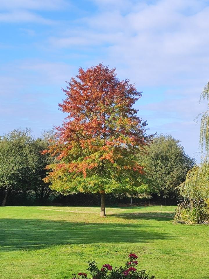 GreenGo location vacances écoresponsables