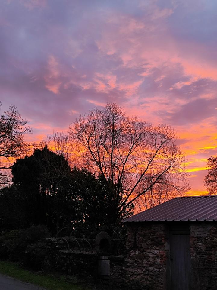 Carte cadeau GreenGo