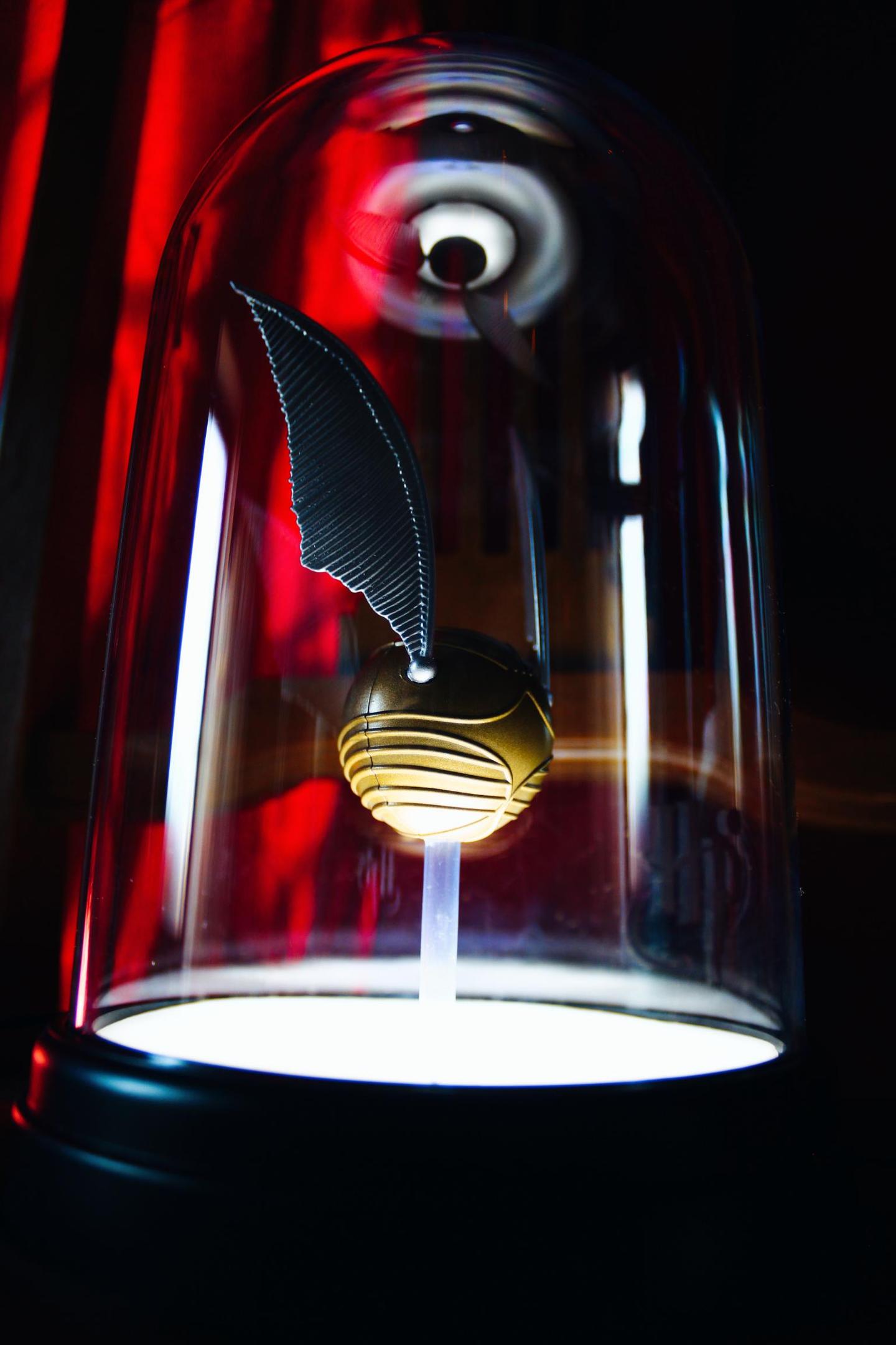 GreenGo Chambre d’hôtes Auvergne-Rhône-Alpes Évasion