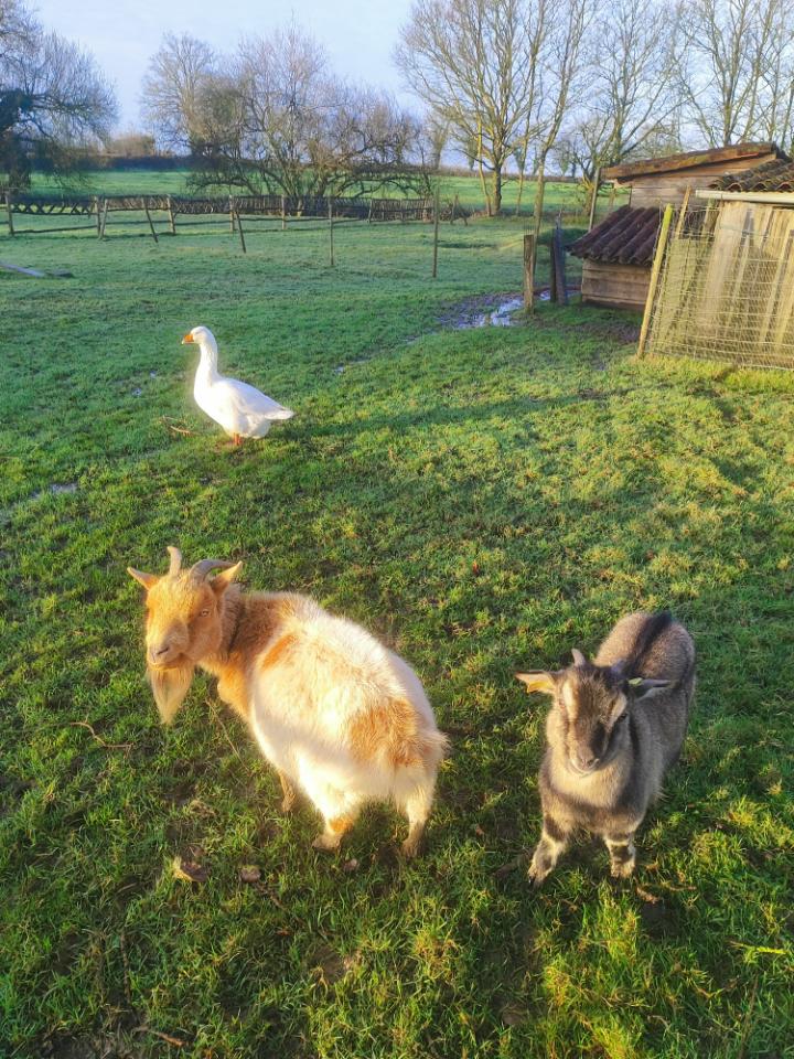  Vendée À la campagne
