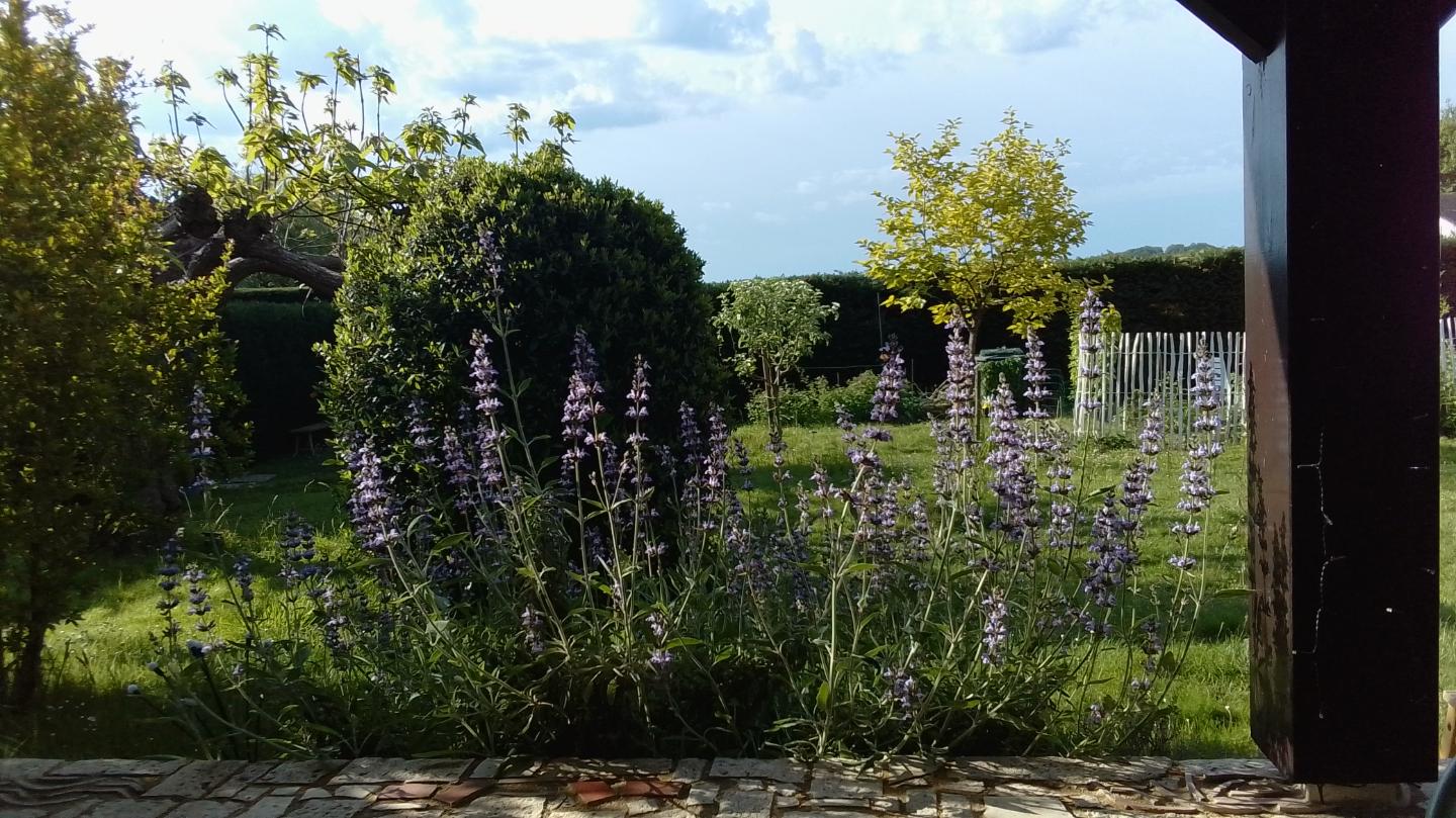 GreenGo Gîte la maison d'été - (dordogne - Périgord Pourpre)
