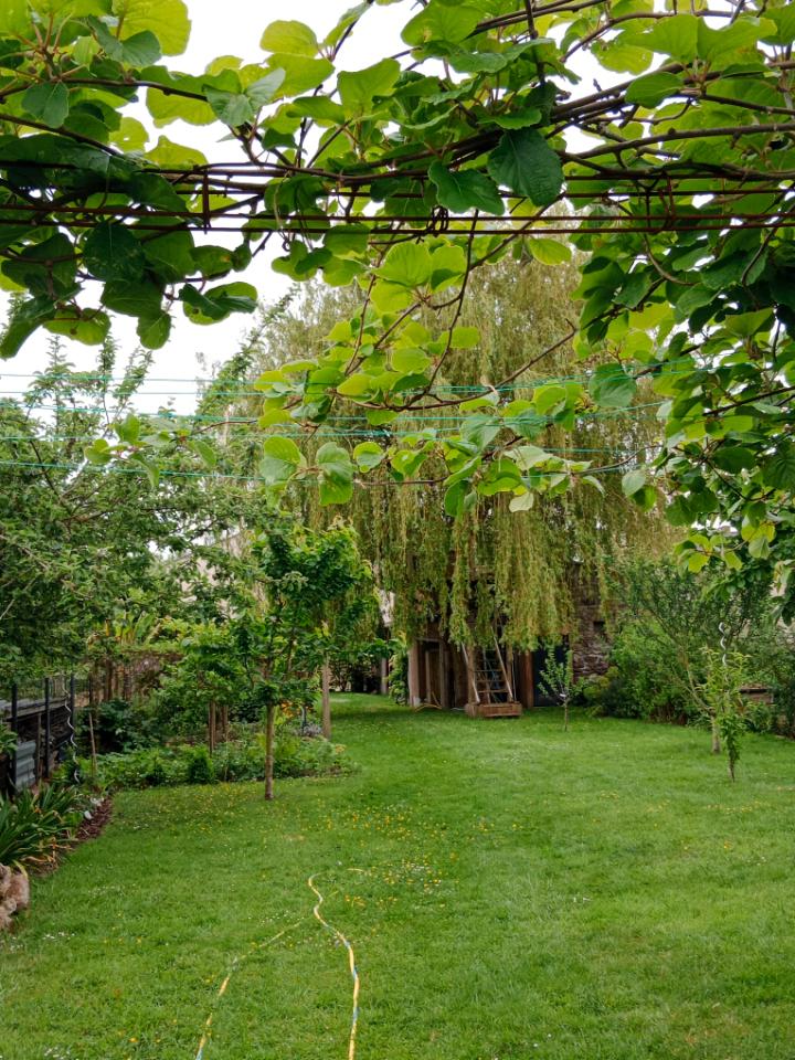 GreenGo Le jardin aux oiseaux