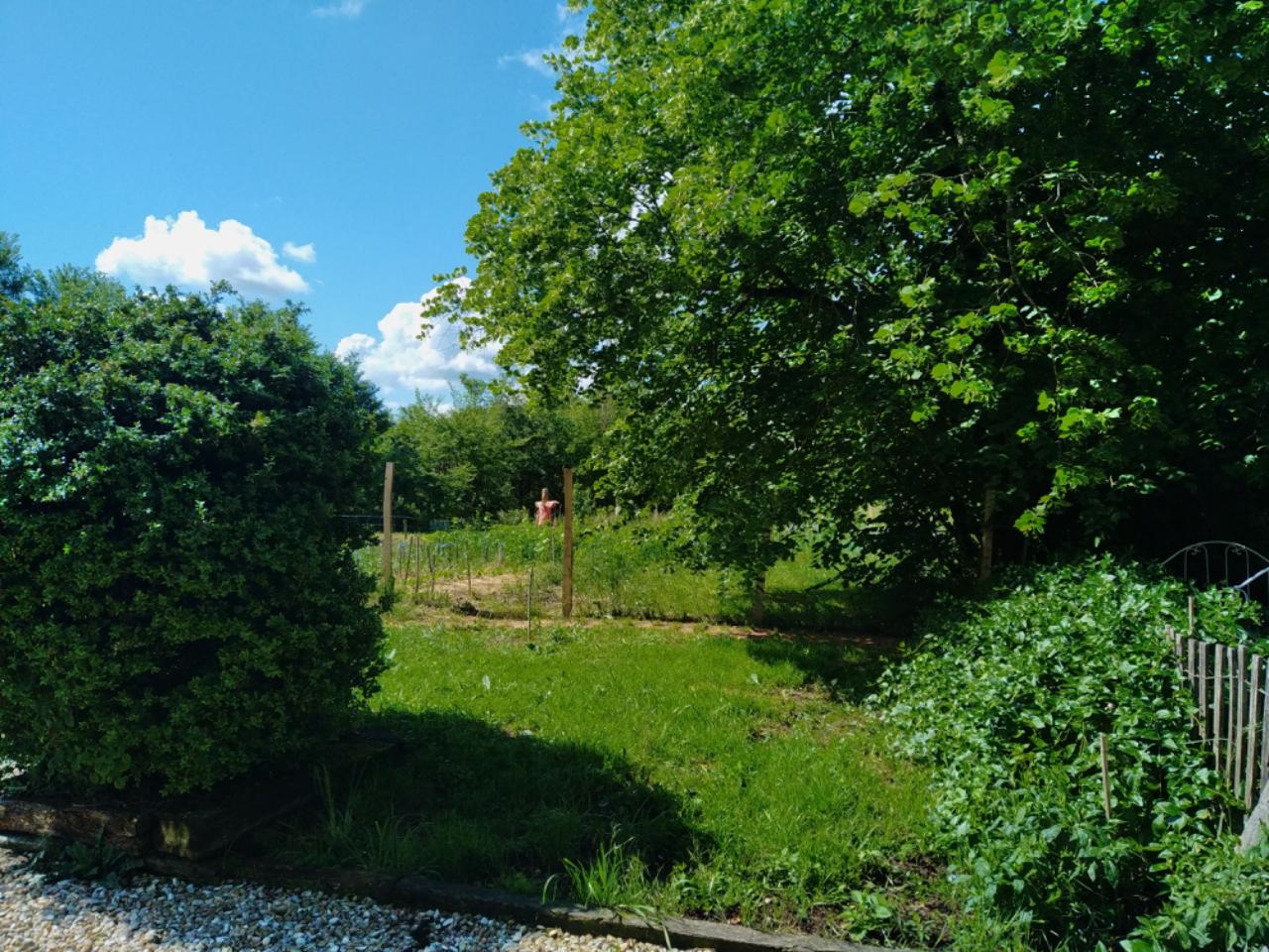 Vienne À la campagne
