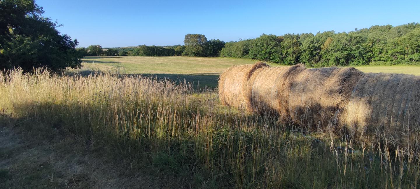 GreenGo location vacances écoresponsables
