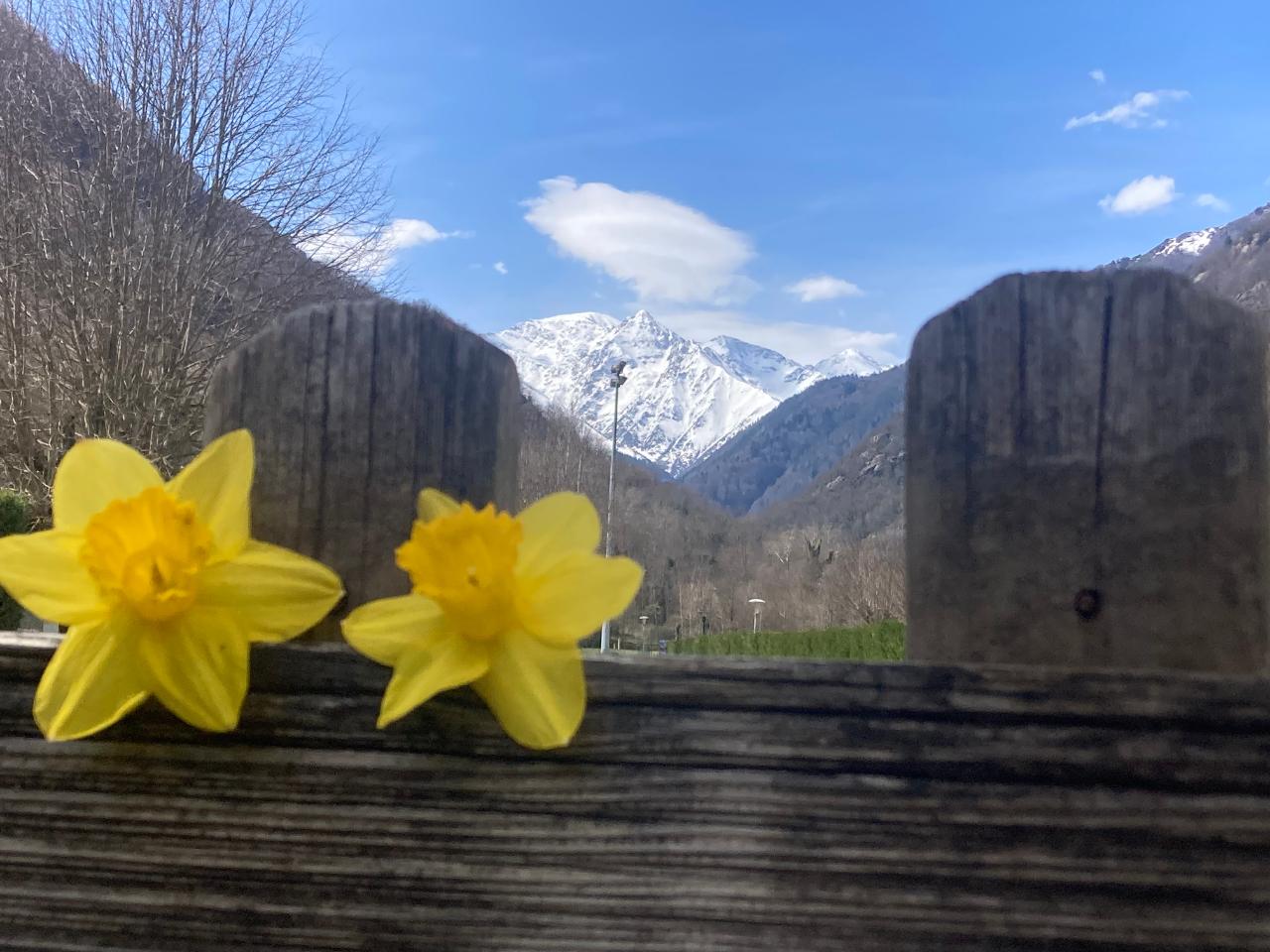 GreenGo Eco-camping la Vernière