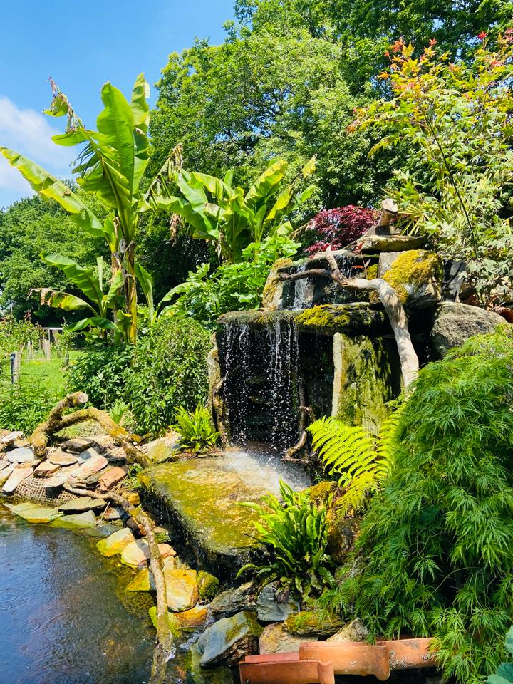 Hôte GreenGo: Le Jardin Zen du Quistillic - Image 8