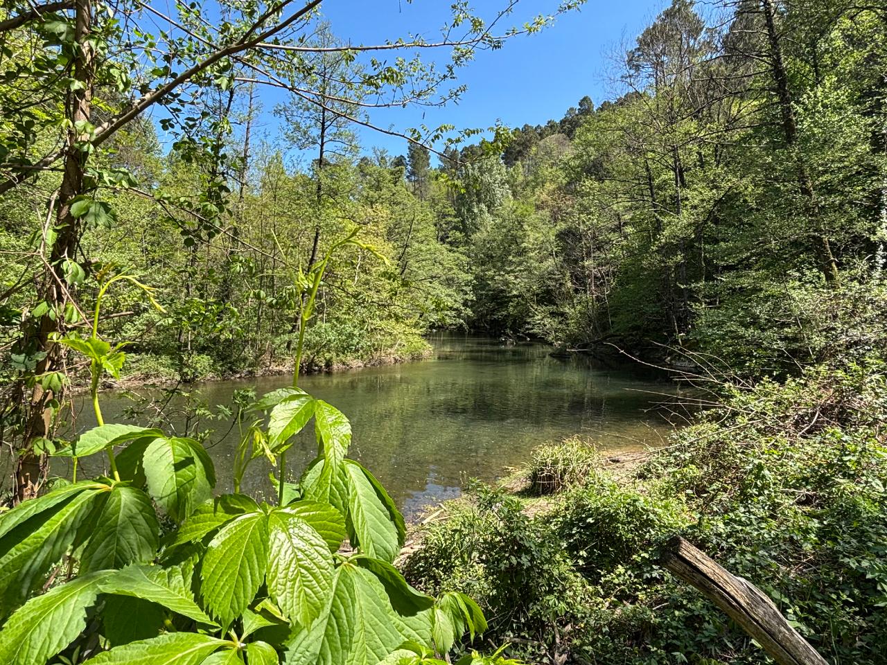 Location Gard À la campagne