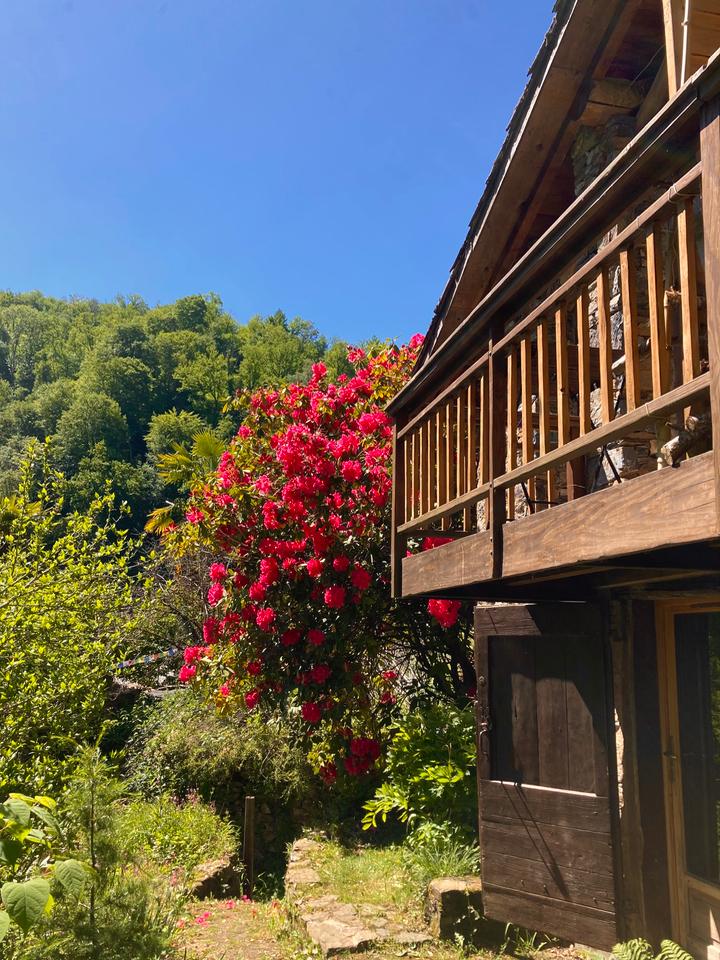 GreenGo Bardol, éco-hameau en forêt