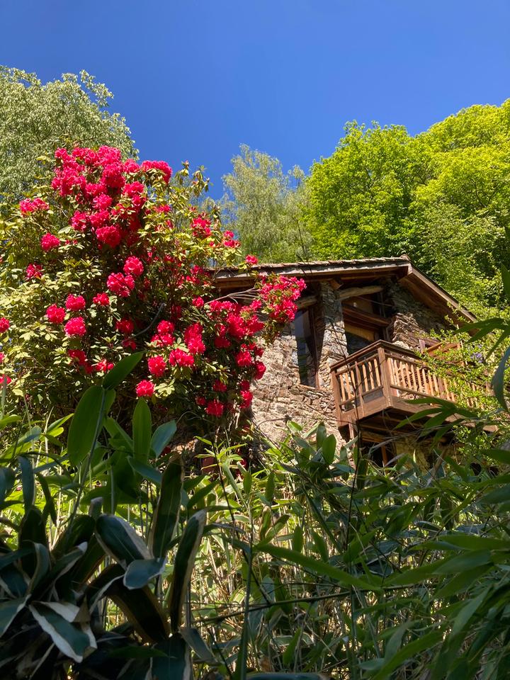Hôte GreenGo: Bardol, éco-hameau en forêt