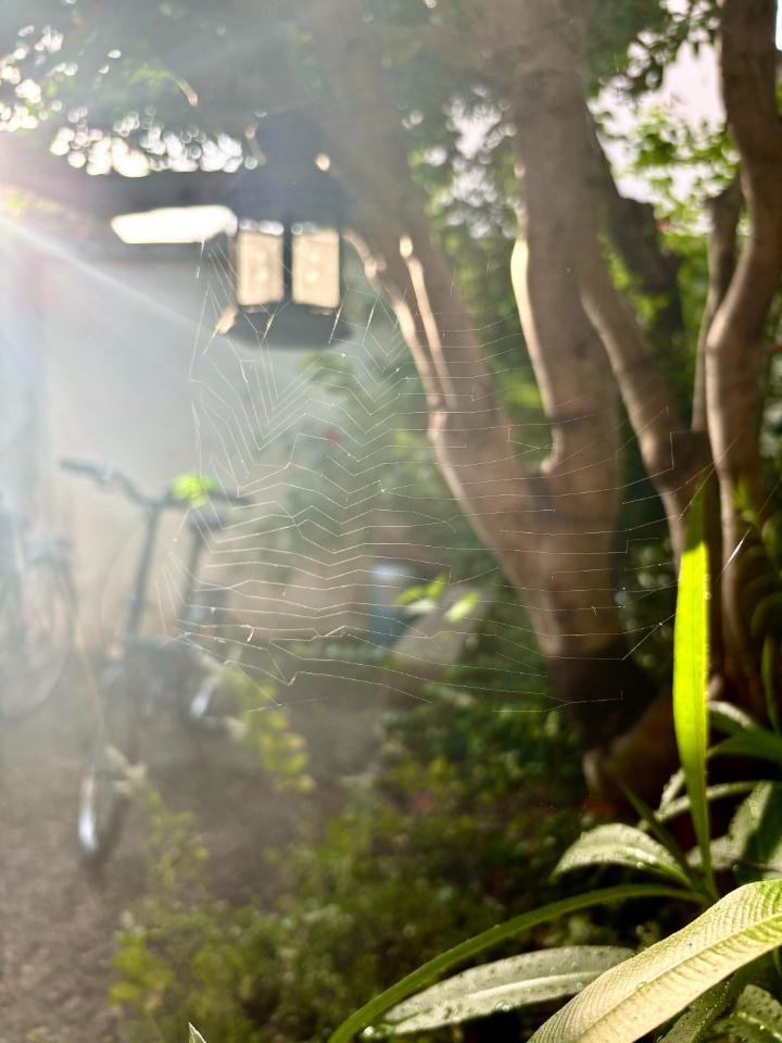 GreenGo Ancienne auberge en meulière du Xviiie siècle aux confins de la région parisienne