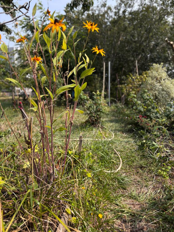 GreenGo location vacances écoresponsables