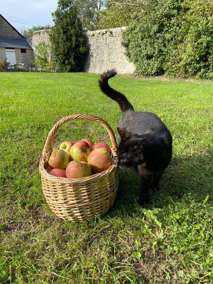GreenGo La Ferme de Riou au coeur du cotentin