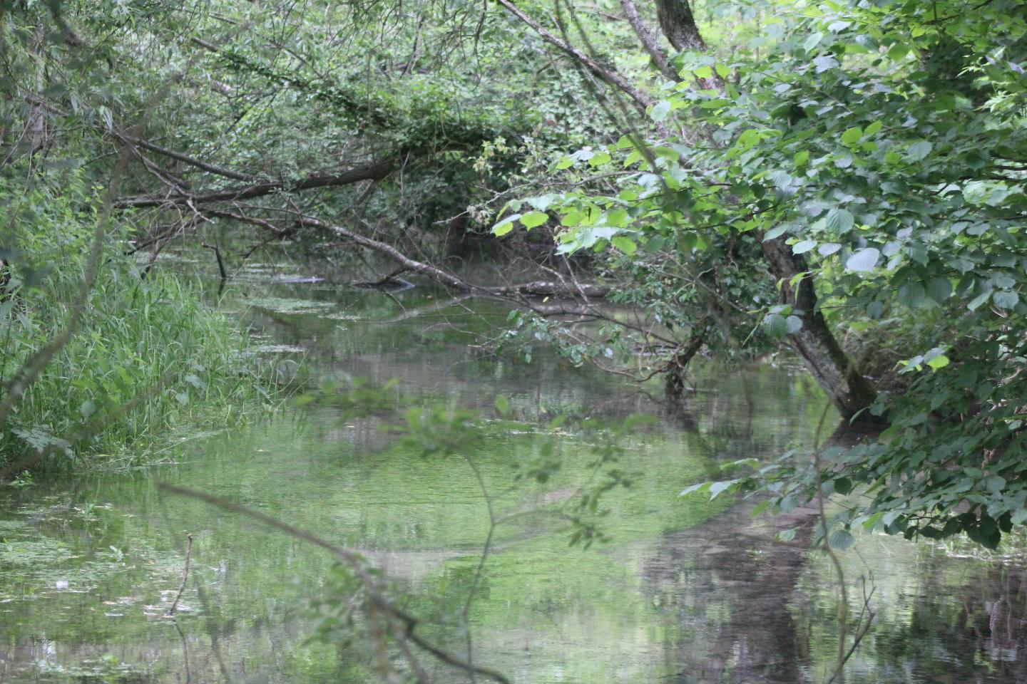  Seine-Maritime À la campagne