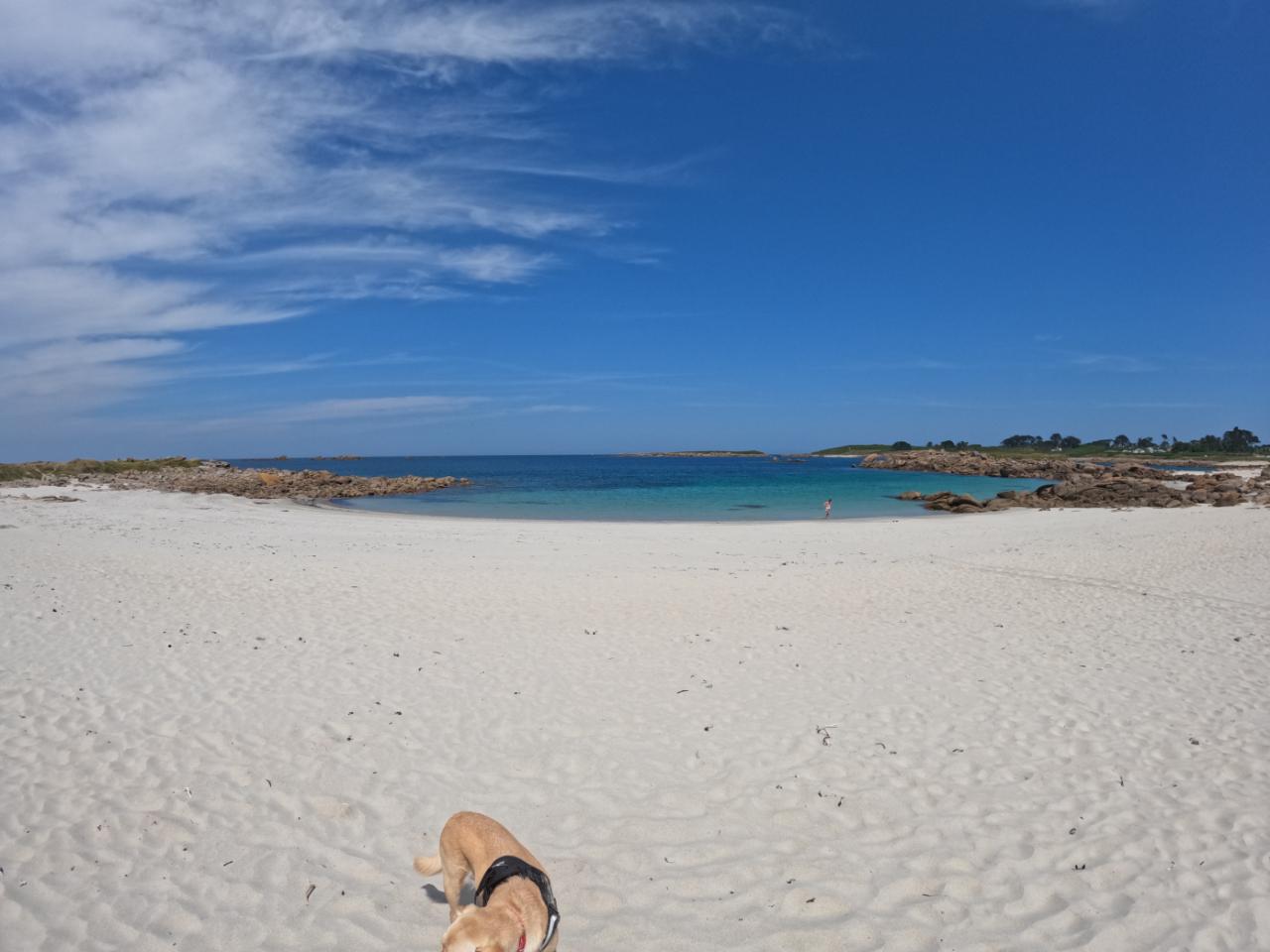 GreenGo location vacances écoresponsables