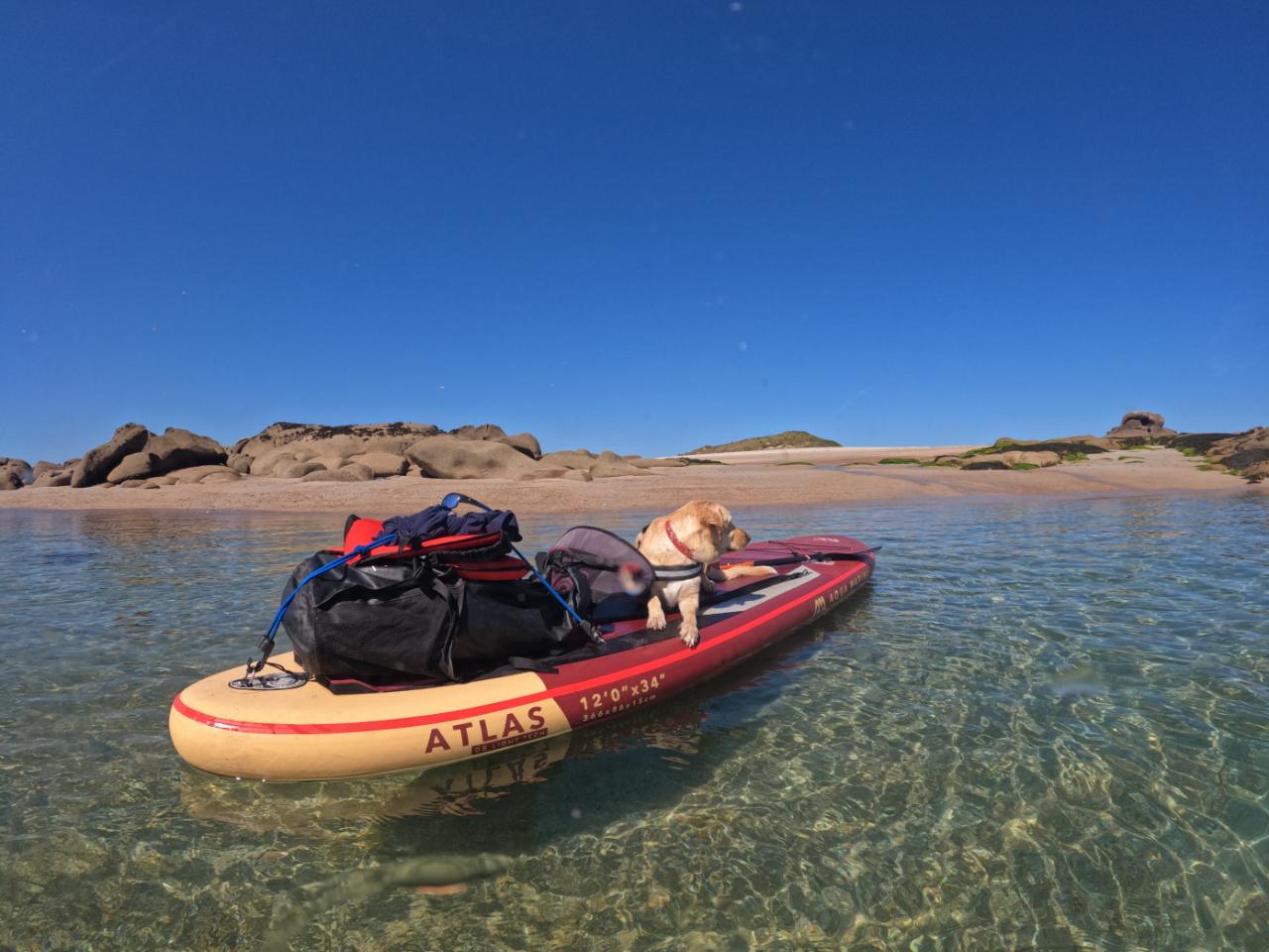 Carte cadeau GreenGo