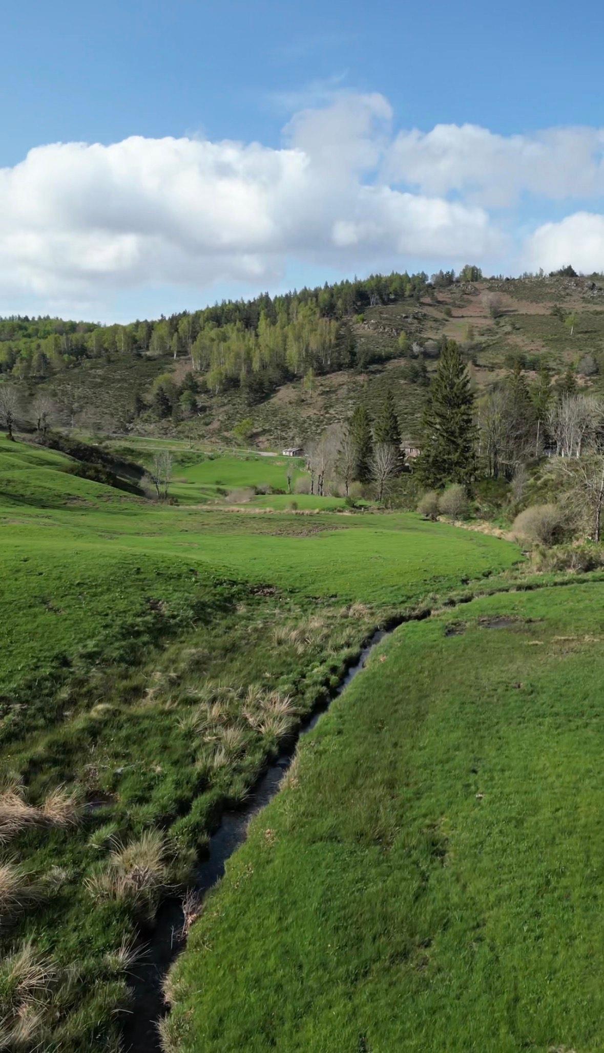 Carte cadeau GreenGo